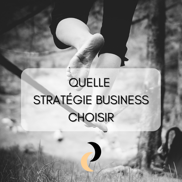 6 – Quelle stratégie business choisir ?