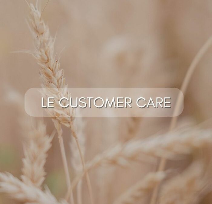21 – Prendre soin de son business avec le customer care